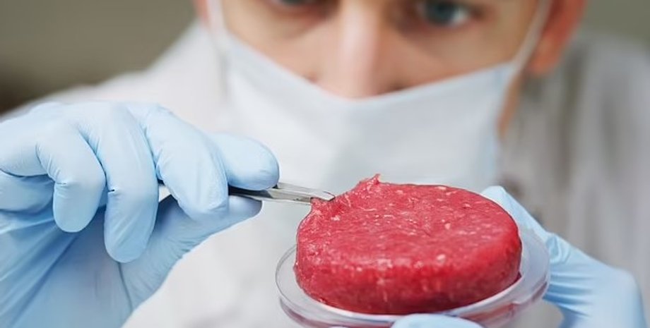 м'ясо, лабораторія
