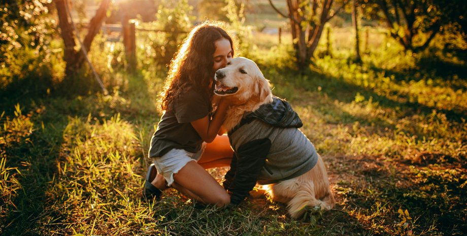 Лучшая порода больших собак