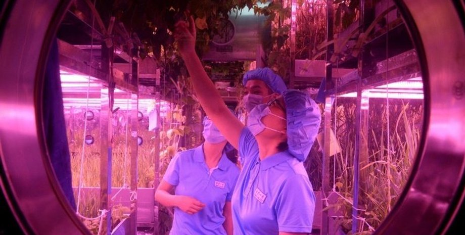 Фото: Синьхуа