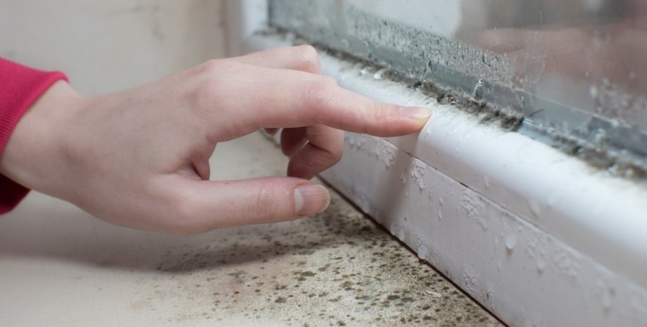 Плесень на окнах Плесень на окнах, конденсат на окнах, собирается влага, дыры в окне, опасная черная плесень, простая ошибка, как устранить плесень