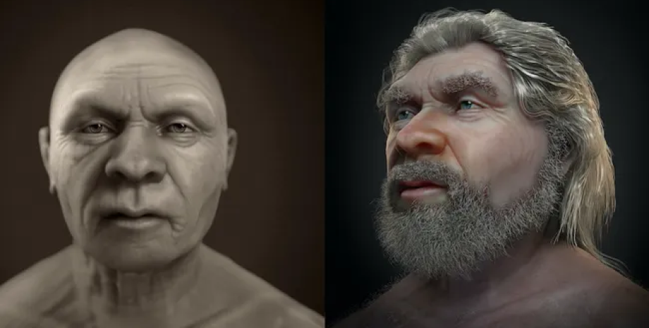 неандертальцы, лицо, лицо, реконструкция, компьютерная томография, история, ткань, ДНК, измерения, художники, технологии, наука, копия, люди, вид, останки, пещера, волосы, борода