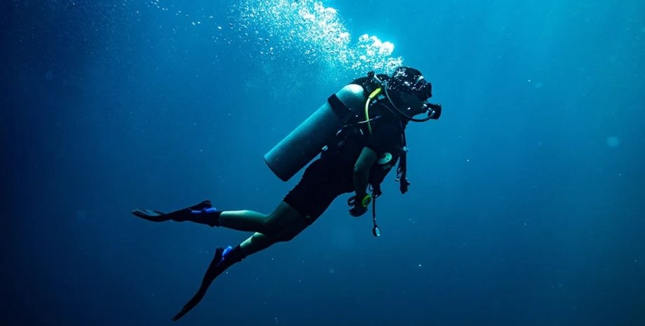 дайвер, кит проглотил дайвера, сша, животное, проглотил кит