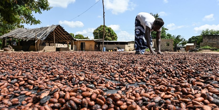 какао, какао боби, гана, дефіцит шоколаду, дефіцит какао