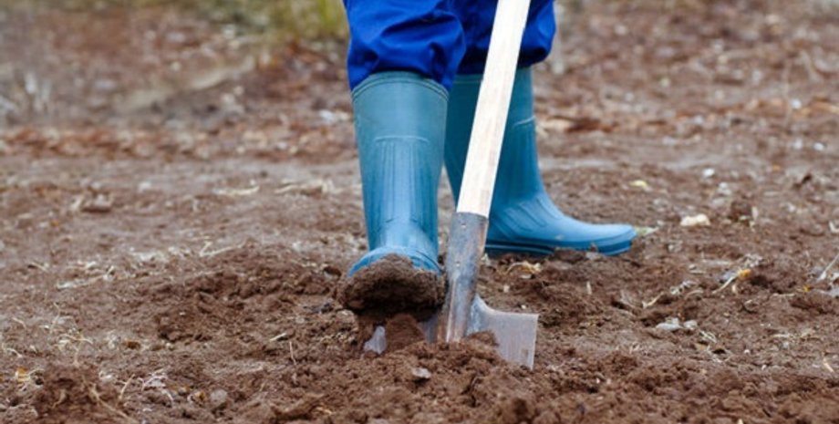 Иллюстративное фото