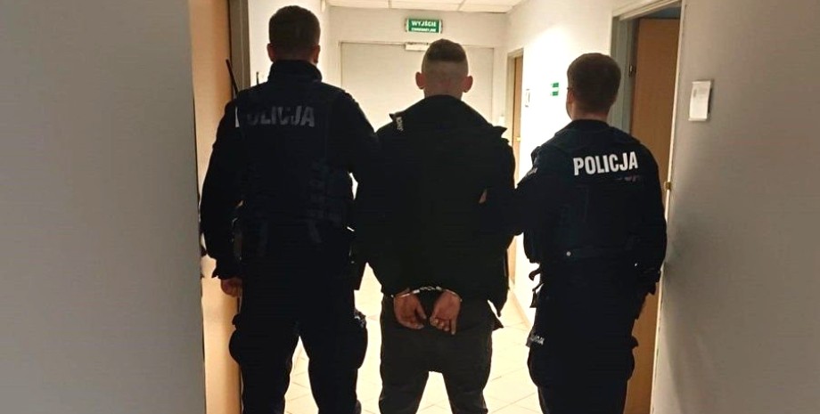 поліція, польська поліція, затримання