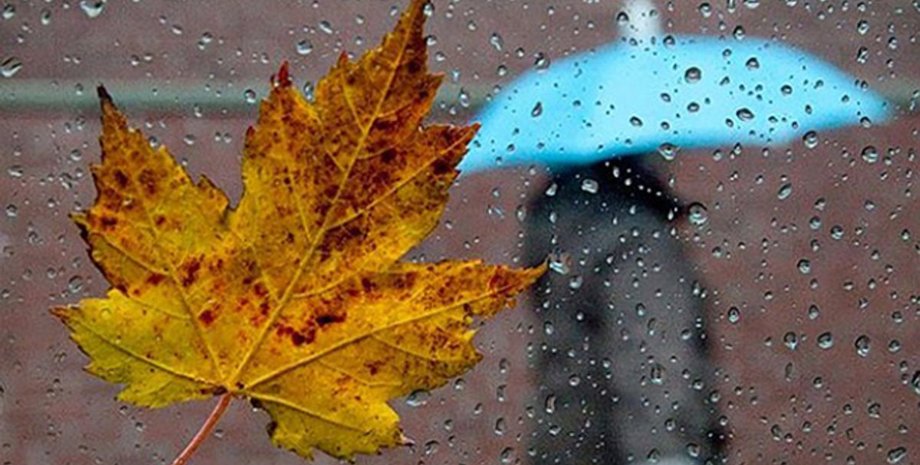 Фото: "24 Канал"