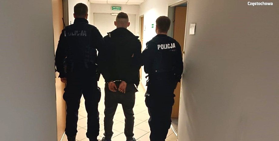 поліція, польська поліція, затримання