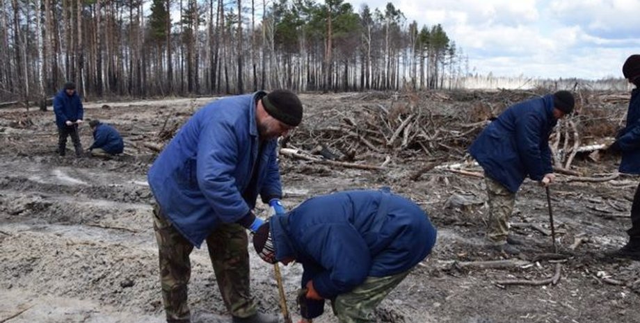 Фото: Минэкологии Украины