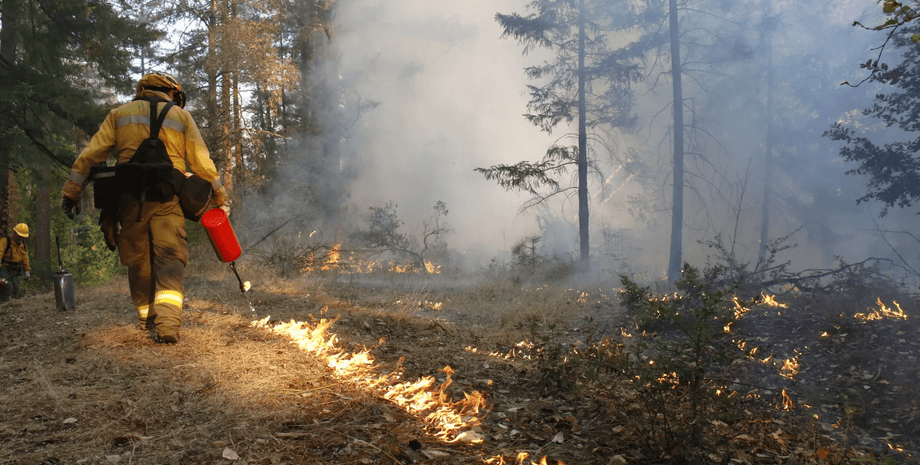 лесные пожары в канаде