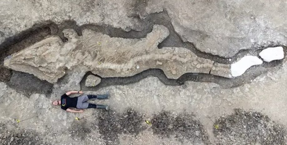 іхтіозавр, скелет, скам'янілість, Англія