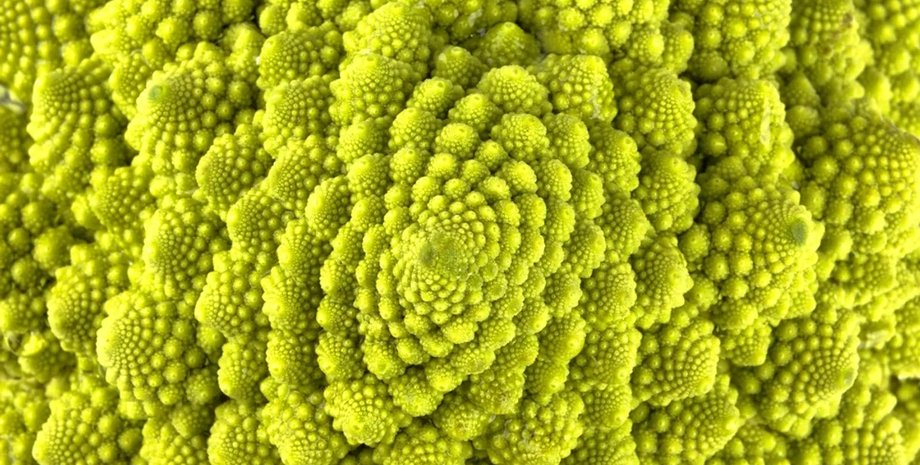 капуста спіраль фібоначчі