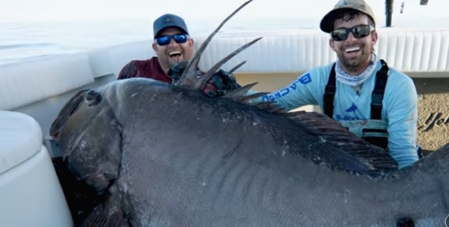 США, рыбаки, окунь, рыба, рыбалка