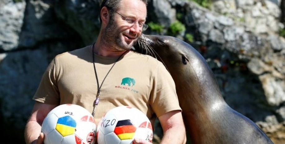 Морской лев предсказал победу Украины в матче против Германии на Евро-2016 / Фото: Reuters