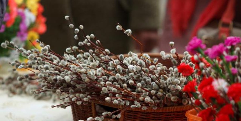 Фото: Нежин Інфо