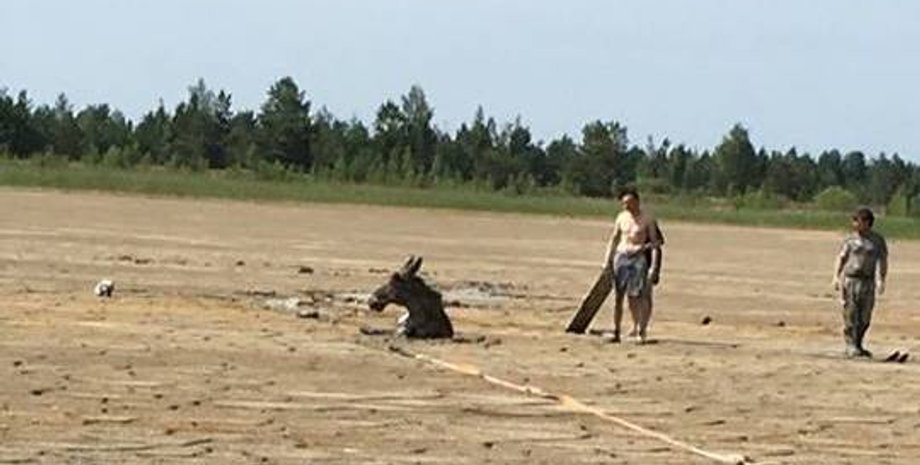 Фото: facebook.com/dei.zt.ua