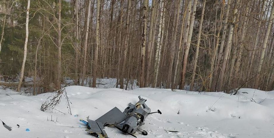 Поряд із об'єктом "Газпрому" в Підмосков'ї впав "невідомий" безпілотник