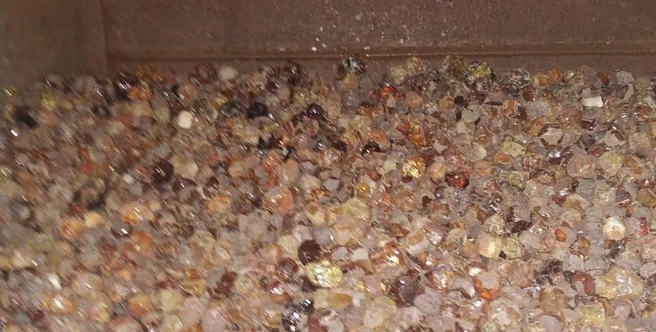 Фото: Госпогранслужба