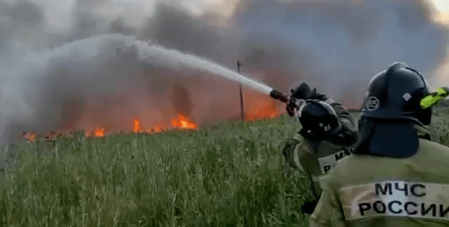 пожежа, лісова пожежа, росія, якутія, площа пожеж у Росії