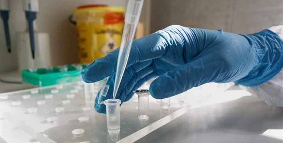 Фото: novograd.city