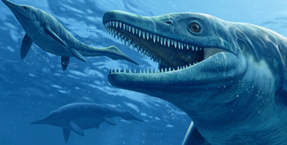 Ихтиозавр , динозавры, череп динозавра, доисторические животные, виды динозавров,