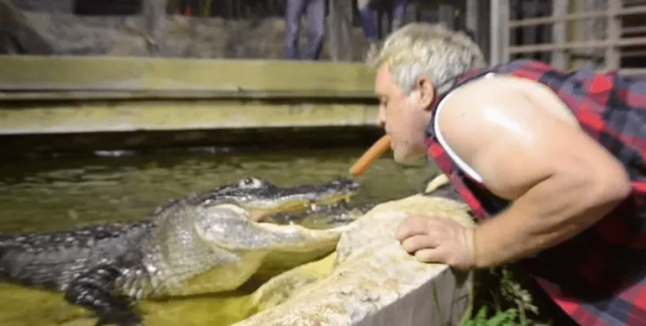 Крокодилы во Флориде Крокодилы во Флориде