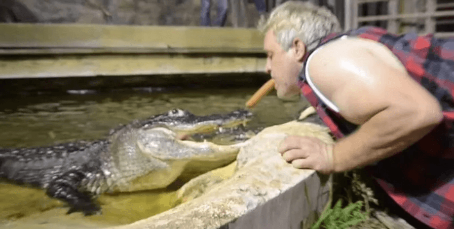 Крокодилы во Флориде