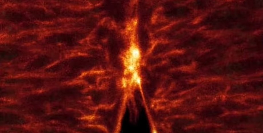 эмбрион, формирование эмбриона, эмбрион формирование