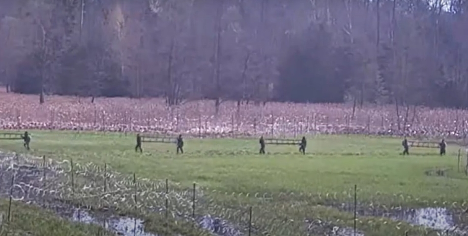 беларусь, польша, мигранты, граница, польские пограничники, штурм