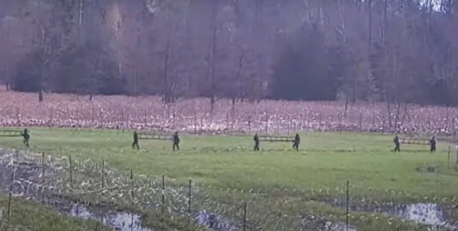 білорусь, польща, мігранти, кордон, польські прикордонники, штурм