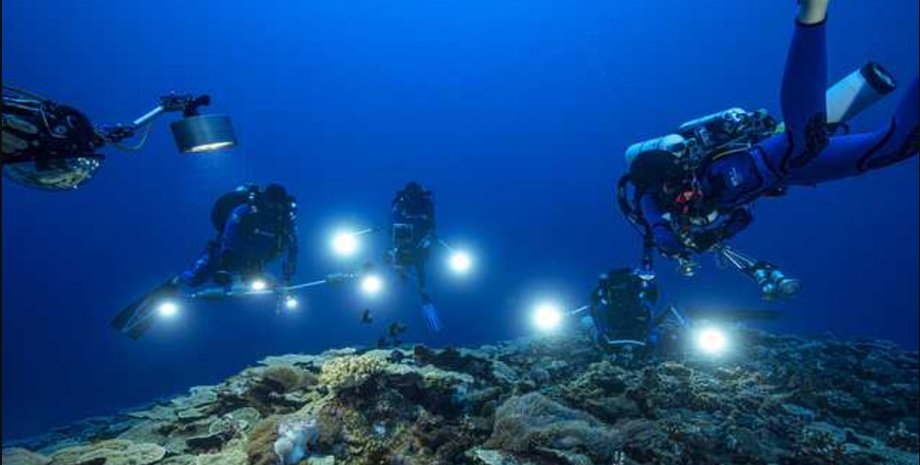 коралловые рифы, ученые, Таити