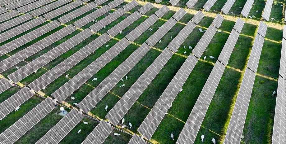 овцы, электростанция, электростанция овцы