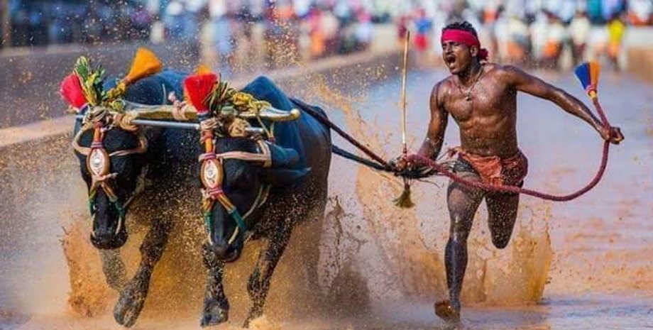 Фото: twitter.com/dp_satish