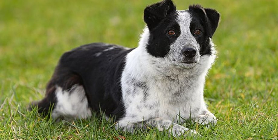 Фото: Glen Minkin