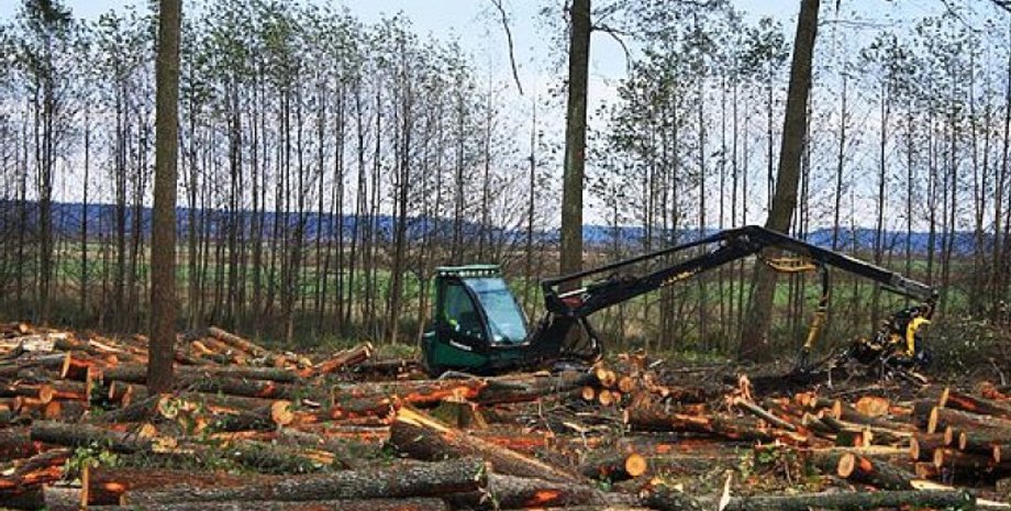 Фото: base article image