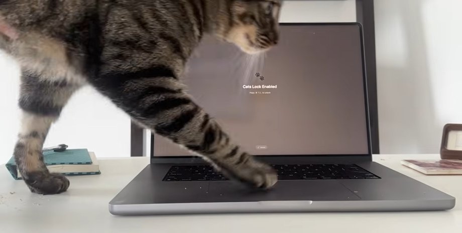 Cats Lock - новое приложение для MacBook