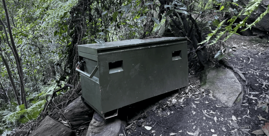 Загадочный ящик в лесу в Австралии, коробка, зеленая коробка, камуфляж, необычная находка, соцсети, курьезы, прикована к дереву, геокэшинг