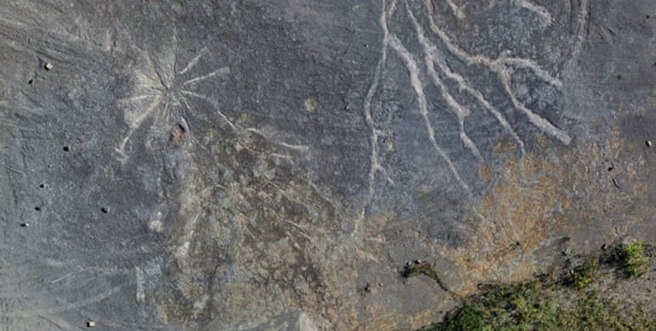 Фото: Charles Ver Straeten/PA