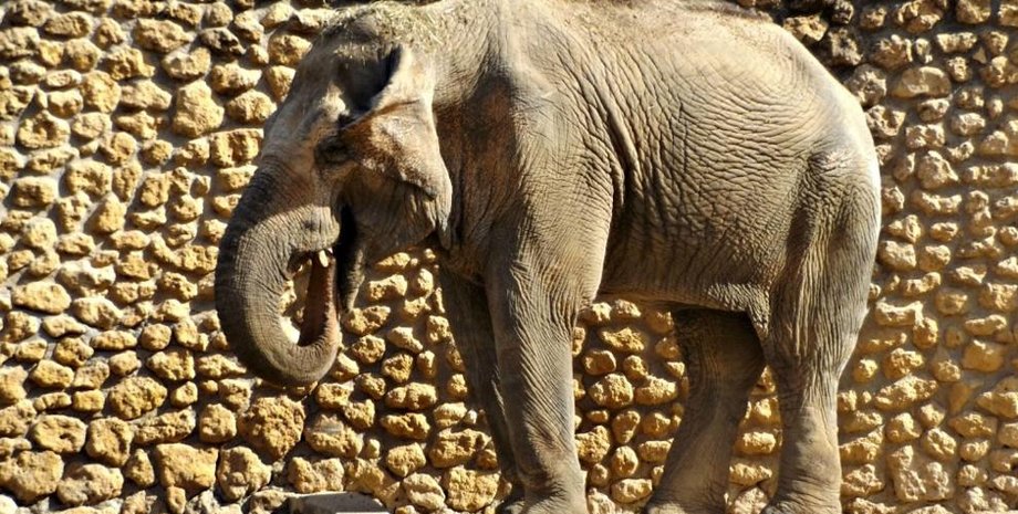 Фото: La Vanguardia