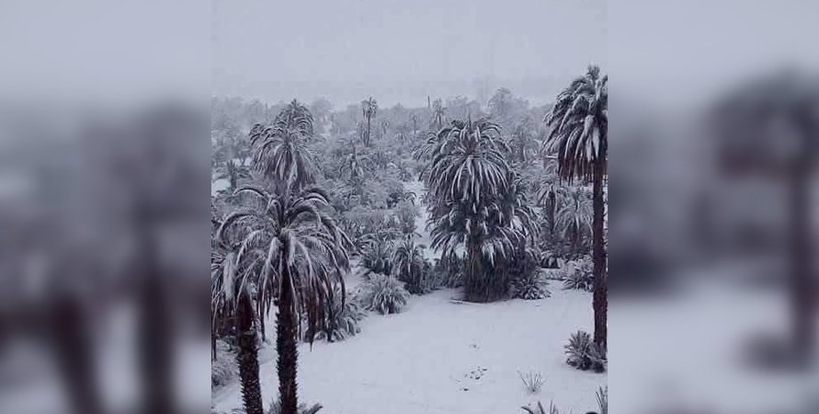 снег марокко, африка снег, пальмы снег, марокко пальмы