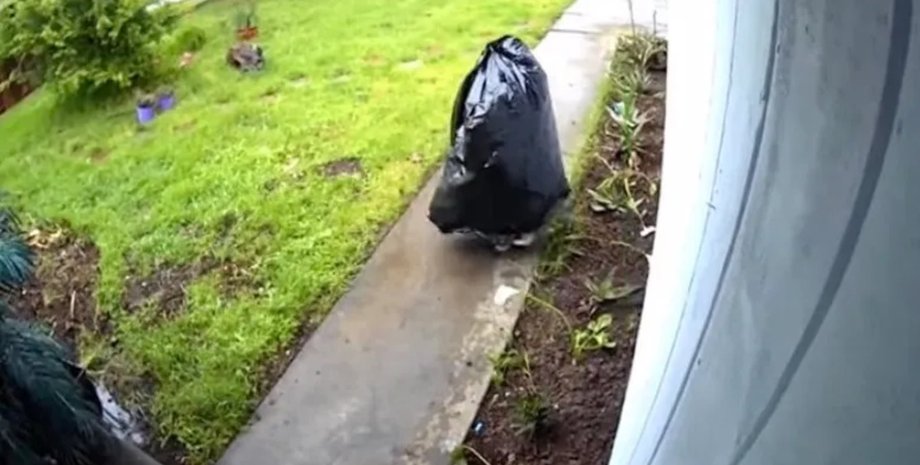 Грабитель в мусорном пакете, мусорный мешок, вор, грабитель, украл посылку, дерзкое ограбление, шутка, запись с камеры