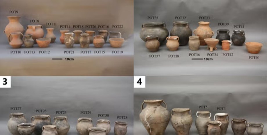 червоне рисове вино, Китай, бронзовий вік, стародавнє вино