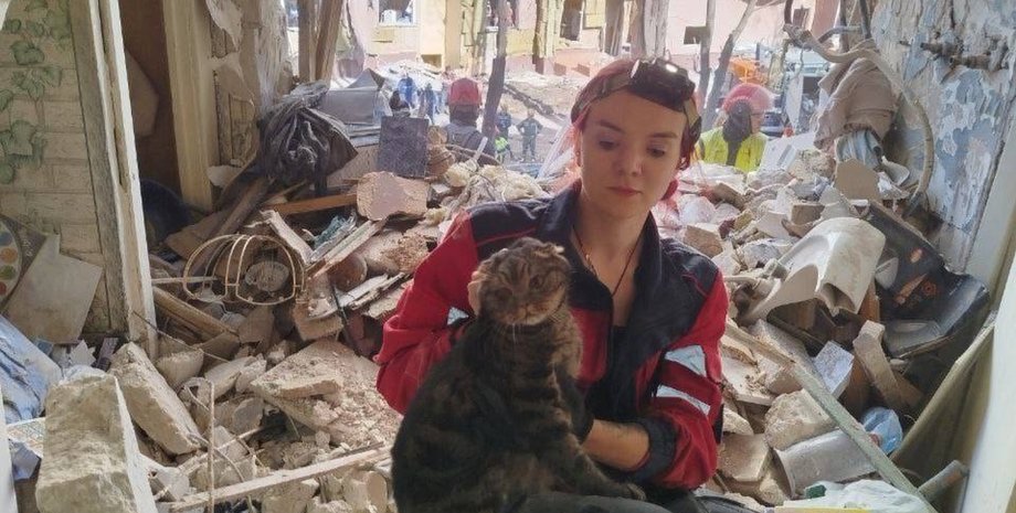 кот под завалами, спасение кота, обстрел киева. ракетная атака