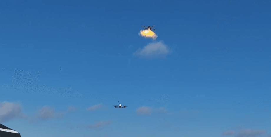 DJI Mavic, дрон, беспилотник, БПЛА, сетка, фото