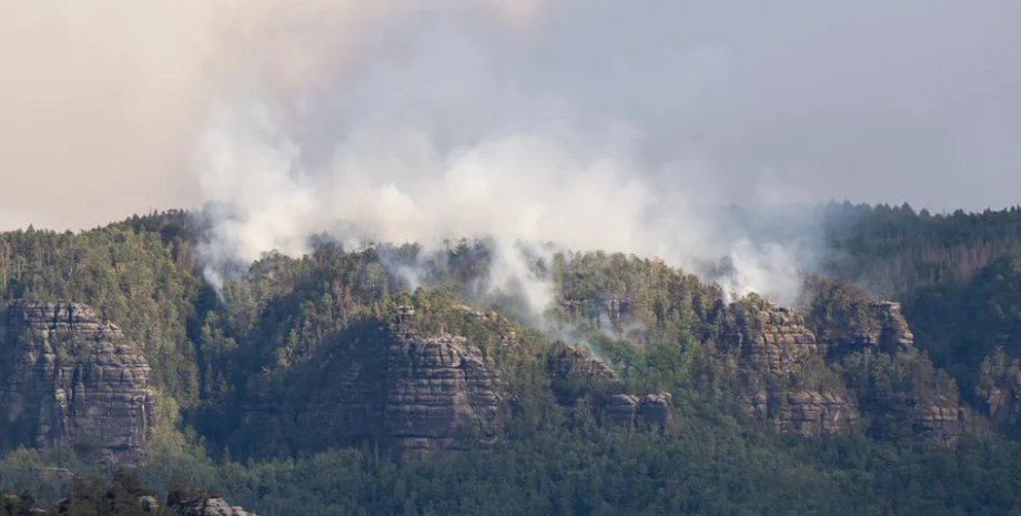 Пожар в Саксонской Швейцарии, пожар германия, саксонская швейцария