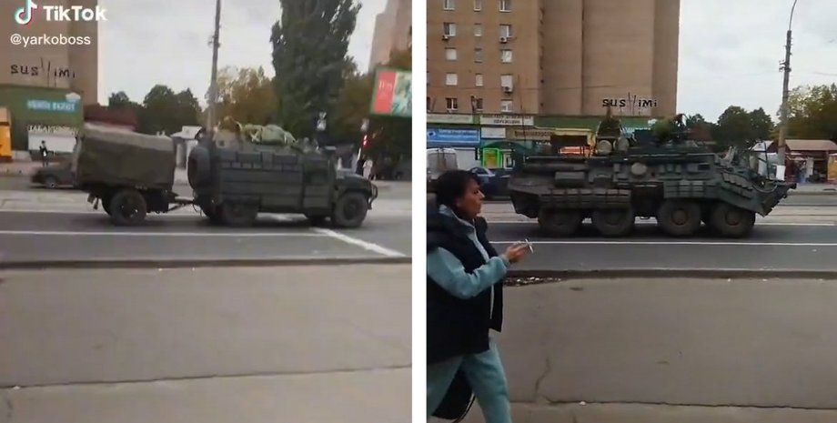 динамическая защита для тигра