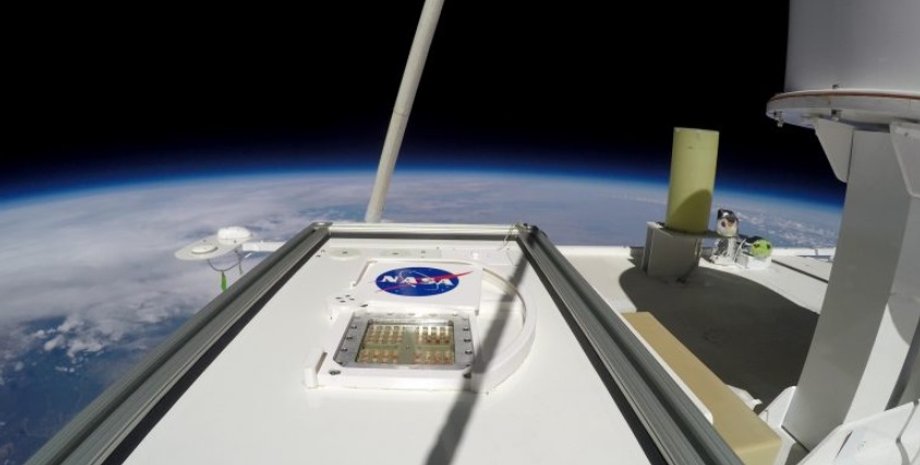 Марс, микробы, стратосфера, Земля