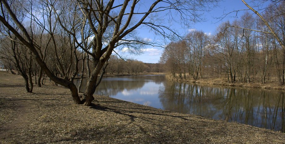 Фото из открытого источника