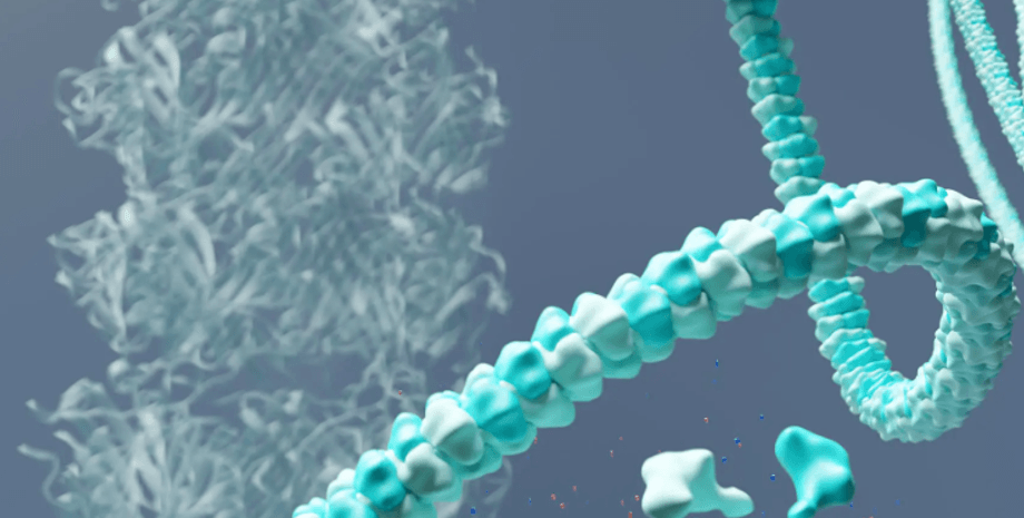 бактериофаг, вирус, хвост