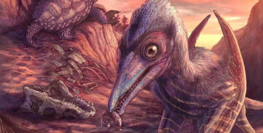 птерозавр, рептилия