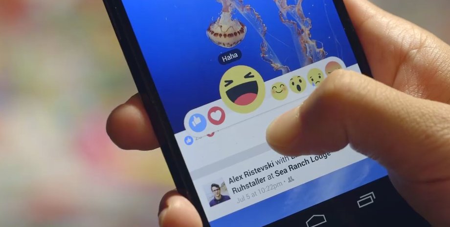 Фото: blackberries.ru